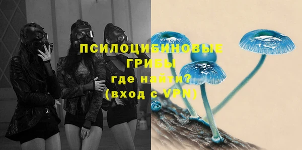спайс Арсеньев