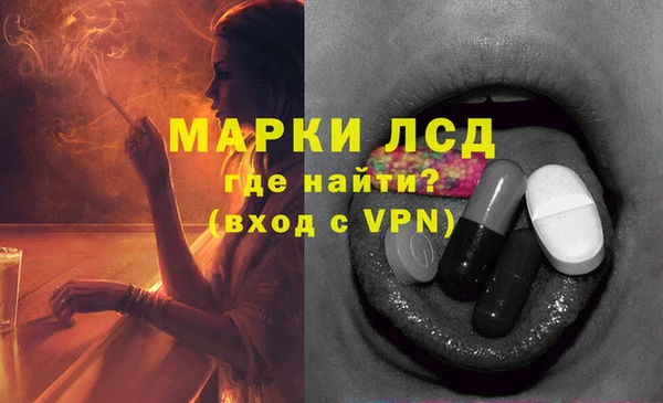 мяу мяу мука Аркадак