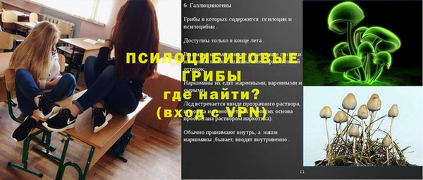 мяу мяу мука Аркадак