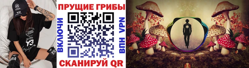 Псилоцибиновые грибы Cubensis  Купить где  Верхний Уфалей 